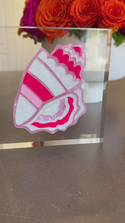 Conch Shell Acrylic Block in Pinks/White